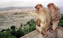 Gibraltar