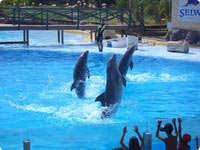 Photo Gallery, Heritage Spanish Resorts
